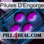 Engorge Pills 04